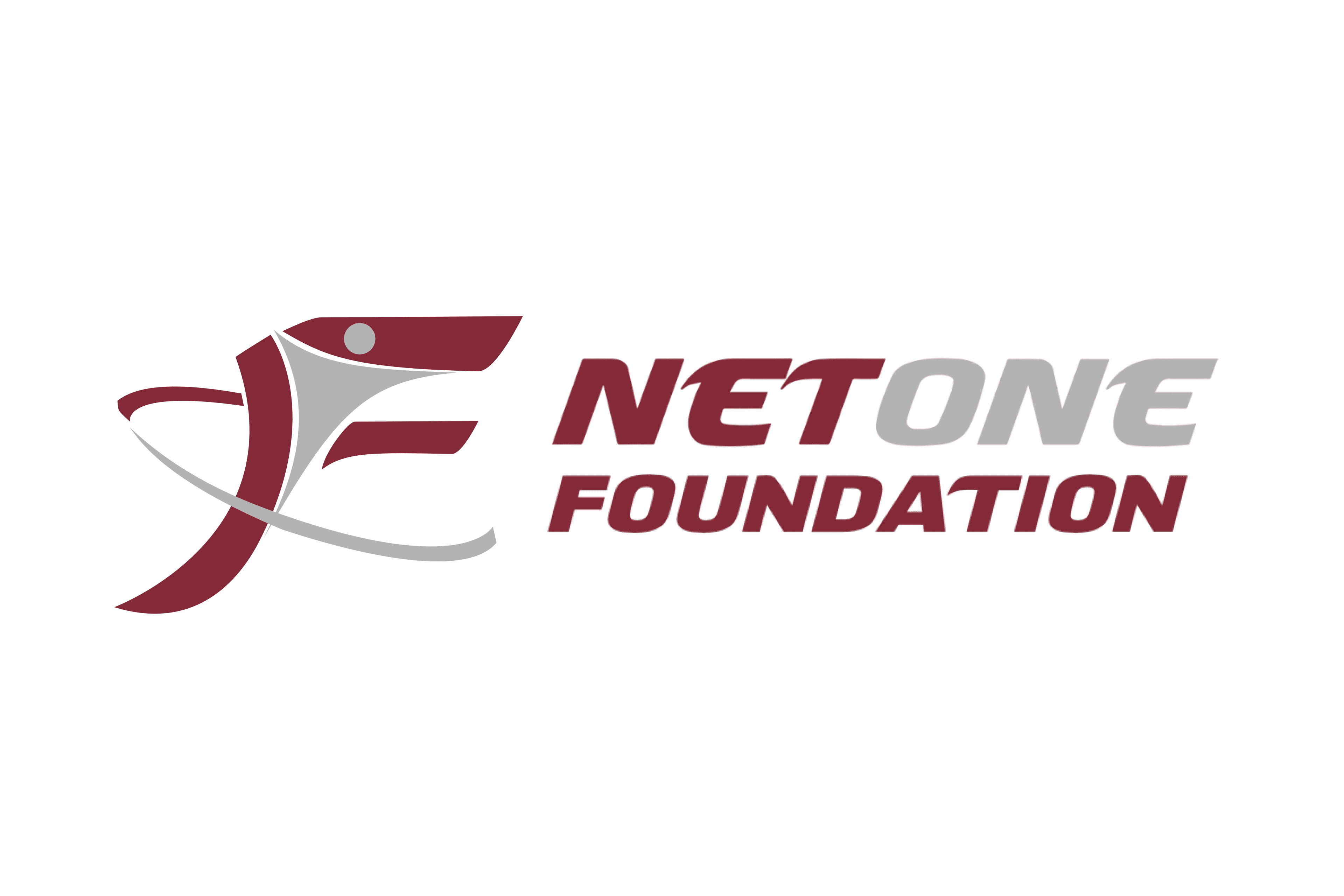 NetOne Foundation